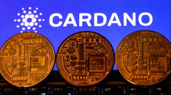 Vilket är bättre att köpa Cardano för bitcoin eller Ethereum
