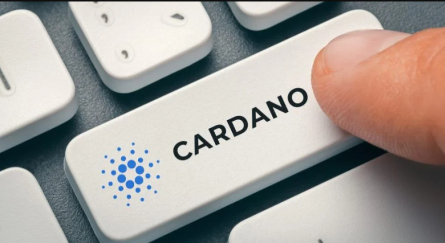 Ska jag köpa Cardano eller Ethereum?

