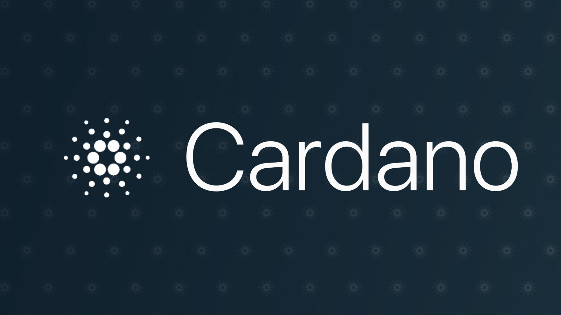 Vad är Cardanos nätverk?

