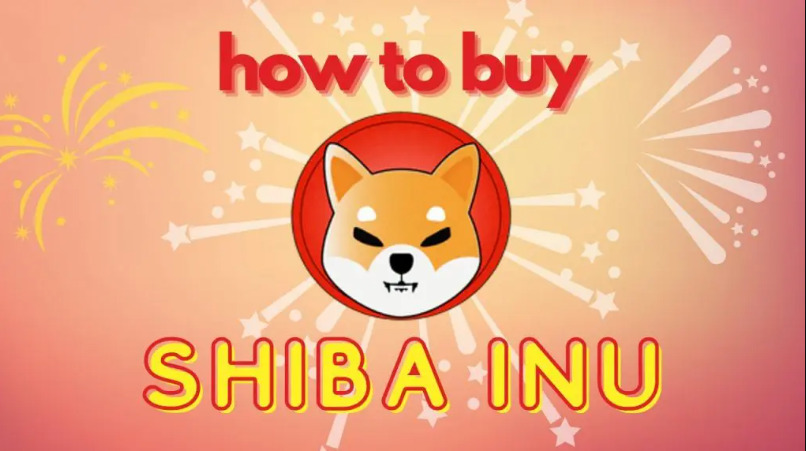 Shiba Inu skötsel och information