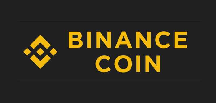 Binance-mynt (BNB)