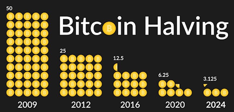 Bitcoin-halvering
