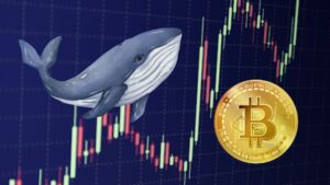 Whale-Led Bitcoin Surge bryter $ 44K Barrier, fler vinster framåt?