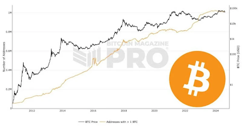 Graf som visar antalet Bitcoin-adresser som innehar 1 BTC
