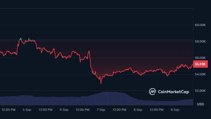 Bitcoins-värde-sjönk-till-så-lågt-som-$52.850