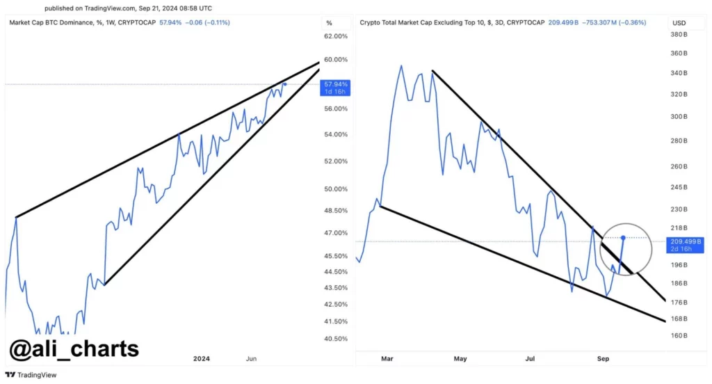 Stigande-trend-på-altcoin-marknaderna